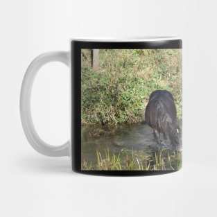 Wild Horse Mug